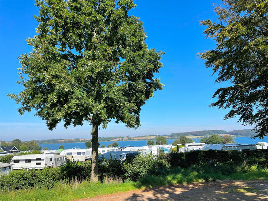 Heller Wohn-/Essbereich im skandinavischen Stil mit großer Fensterfront und Naturblick; Ferienhaus Ostseeküste Dänemark.